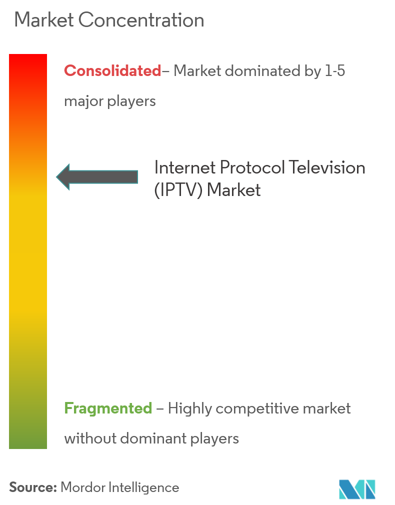 Internet Protocol Television (IPTV) Market Concentration